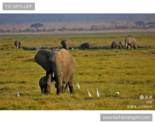 安博真人:安博真人平台的最新优惠活动详细介绍 安博真人:安博真人平台的最新优惠活动详细介绍