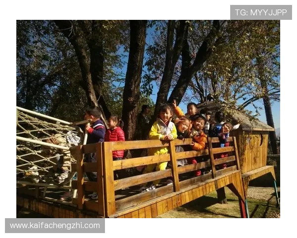 如何利用K8恒峰网站的优惠活动提升游戏收益的实用技巧